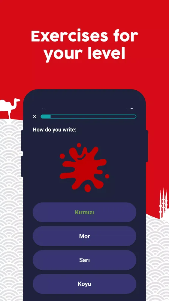Learn Turkish应用截图