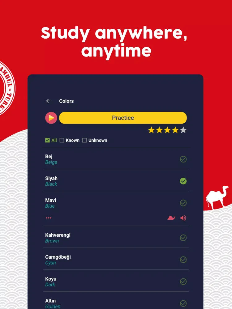 Learn Turkish应用截图