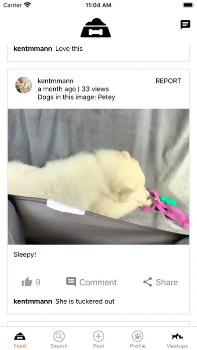 Breed Up - Let's Breed Up!应用截图