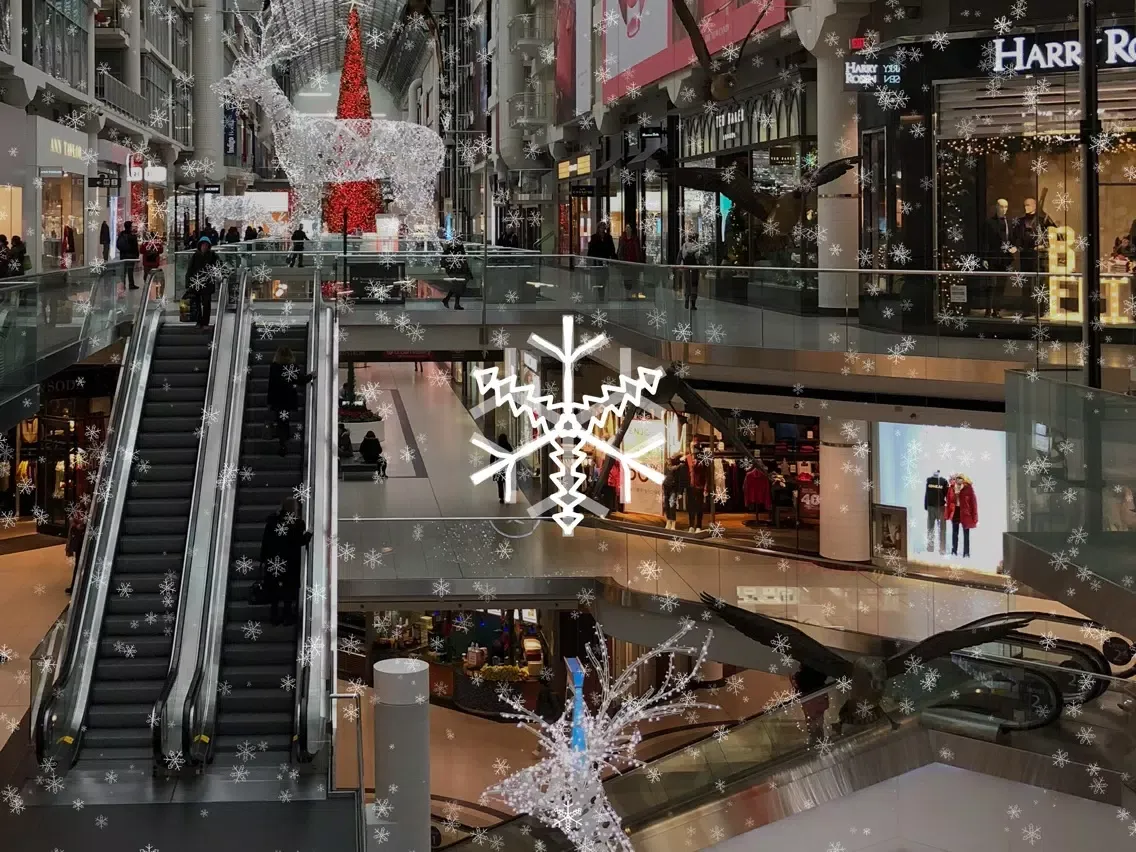 Snowstorm AR iPad  Ekran Görüntüleri