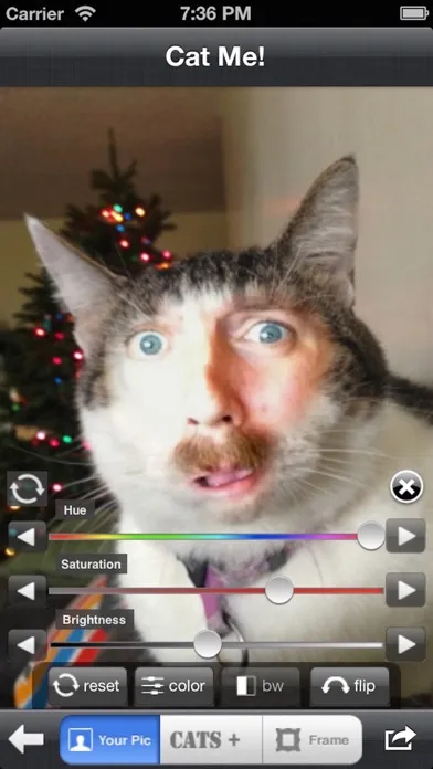 Captures d'écran de Cat Me!