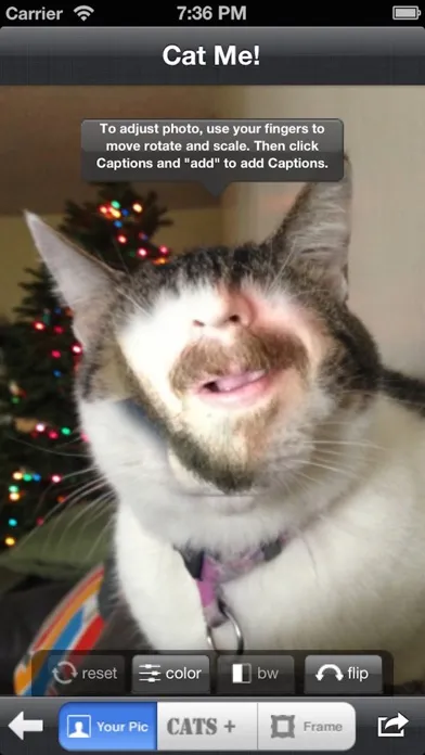Captures d'écran de Cat Me!