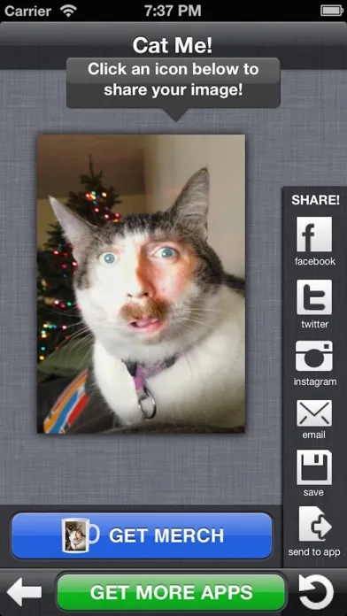 Captures d'écran de Cat Me!