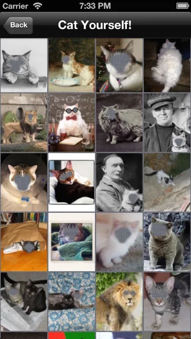 Captures d'écran de Cat Me!