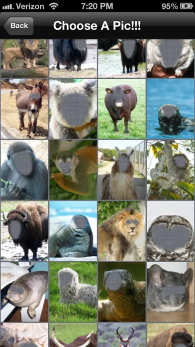 Zoo Me!应用截图