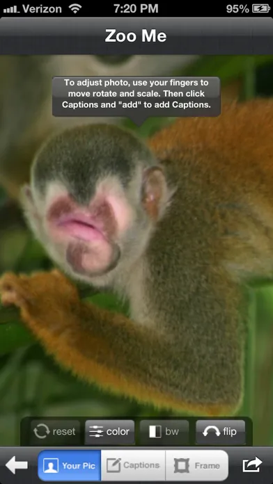 Zoo Me!应用截图