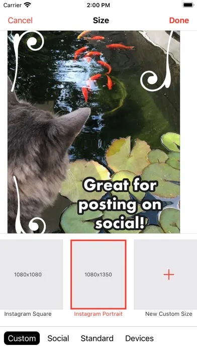 Скриншоты PixelDesk - Image Editor