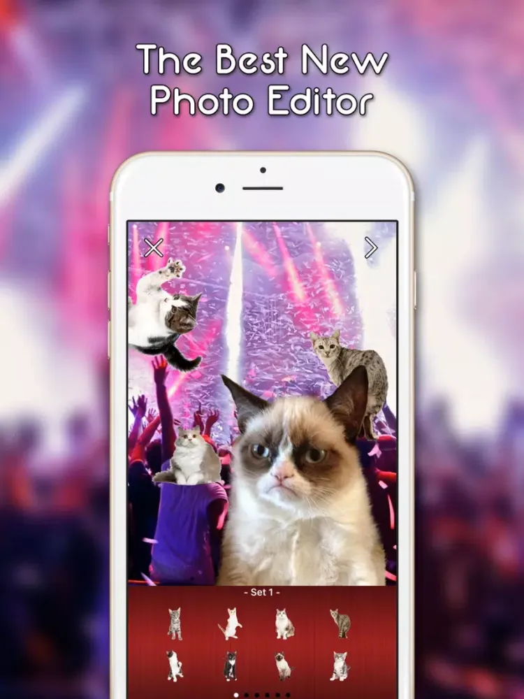 KittyGram - Cutest Cats Photo Decorator iPad 應用截圖