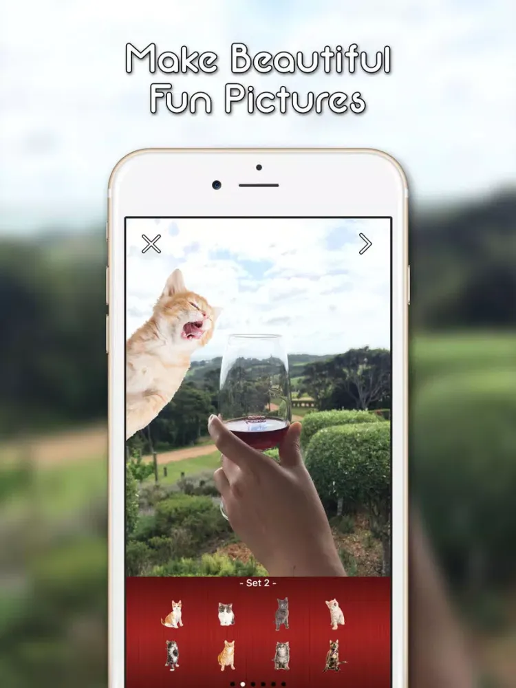 KittyGram - Cutest Cats Photo Decorator iPad 應用截圖