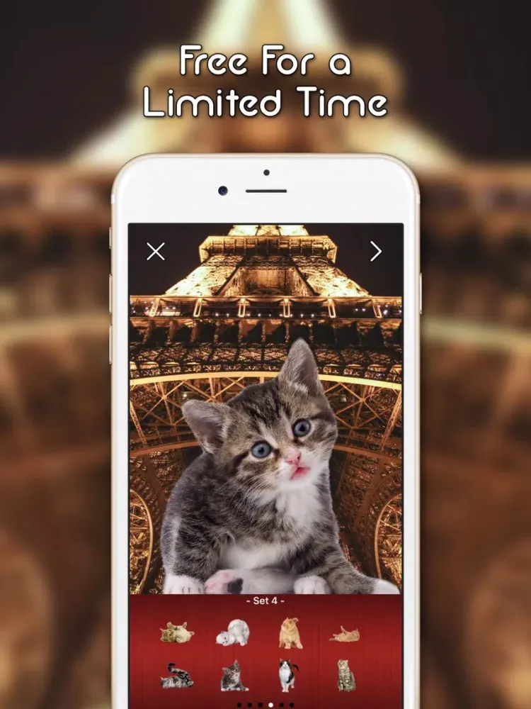 KittyGram - Cutest Cats Photo Decorator iPad 應用截圖