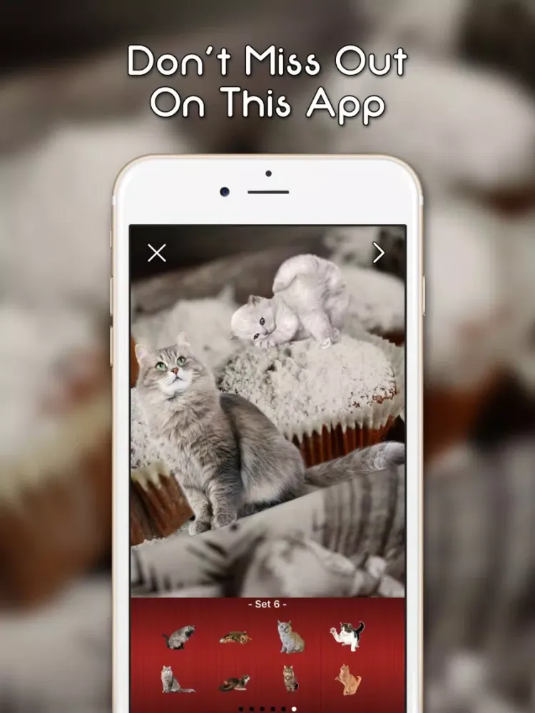 KittyGram - Cutest Cats Photo Decorator iPad 應用截圖