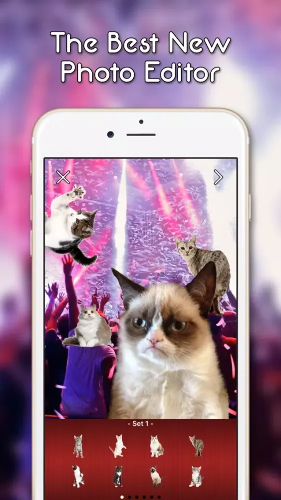 KittyGram - Cutest Cats Photo Decorator應用截圖