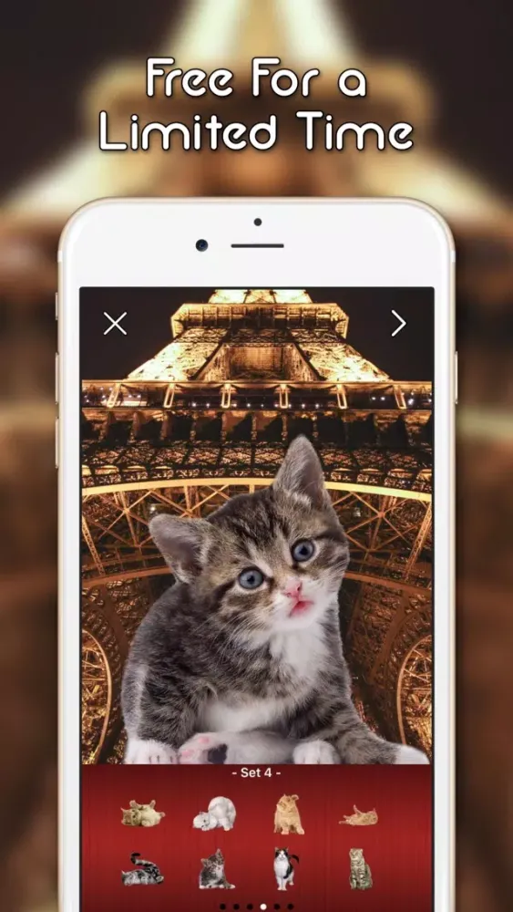 KittyGram - Cutest Cats Photo Decorator應用截圖