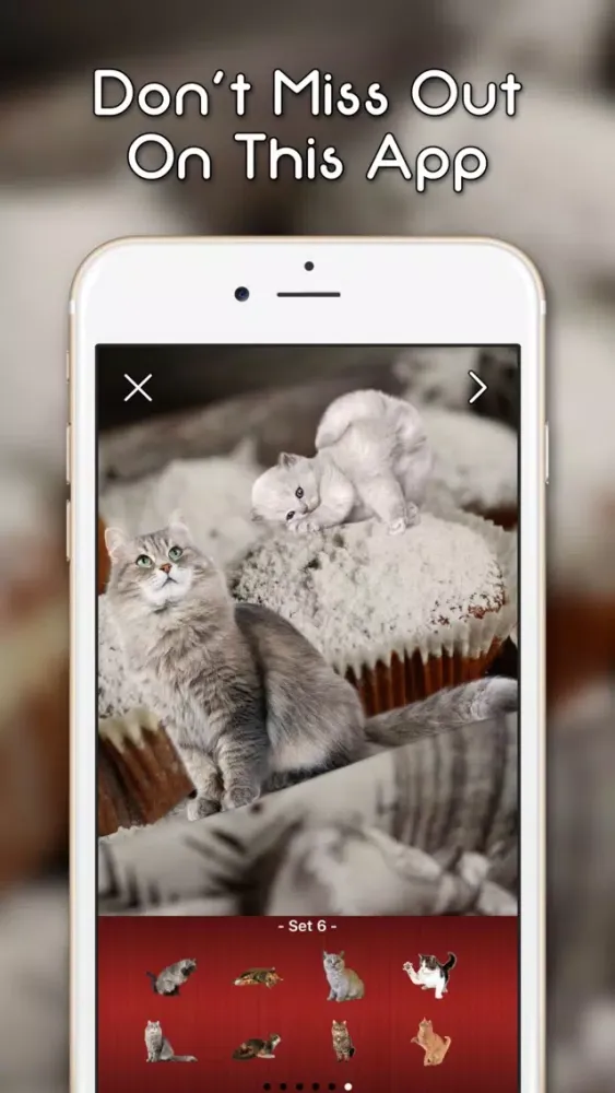 KittyGram - Cutest Cats Photo Decorator應用截圖