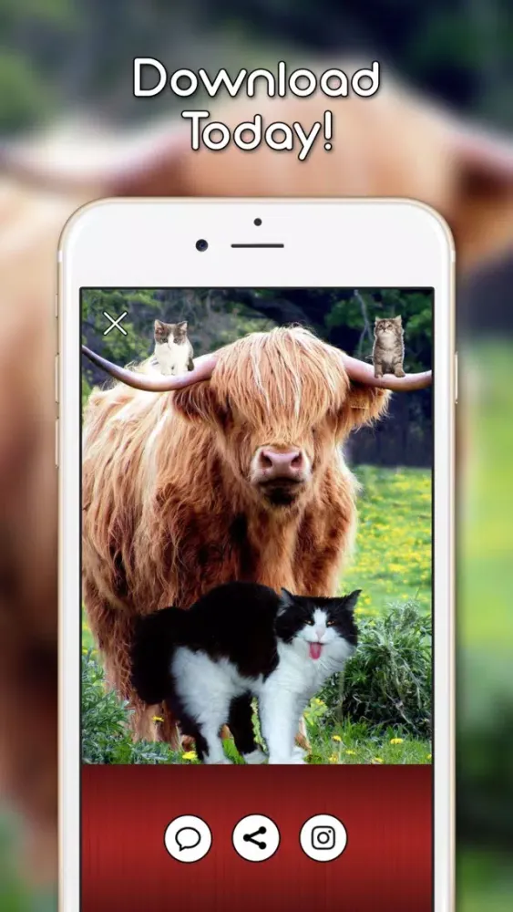 KittyGram - Cutest Cats Photo Decorator應用截圖