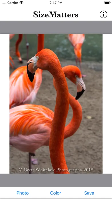 تصاویر SizeMatters - No Crop Resizing