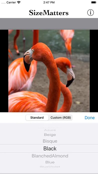تصاویر SizeMatters - No Crop Resizing