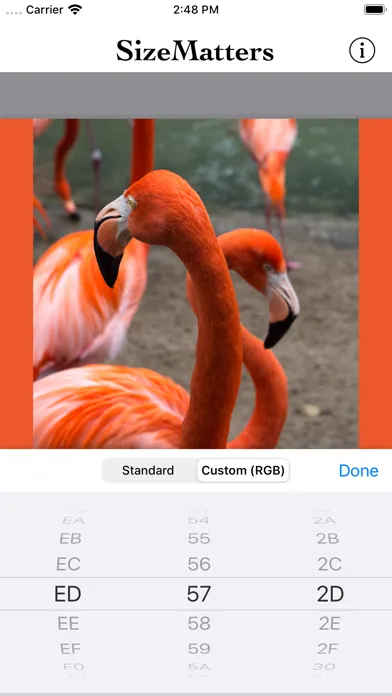 تصاویر SizeMatters - No Crop Resizing