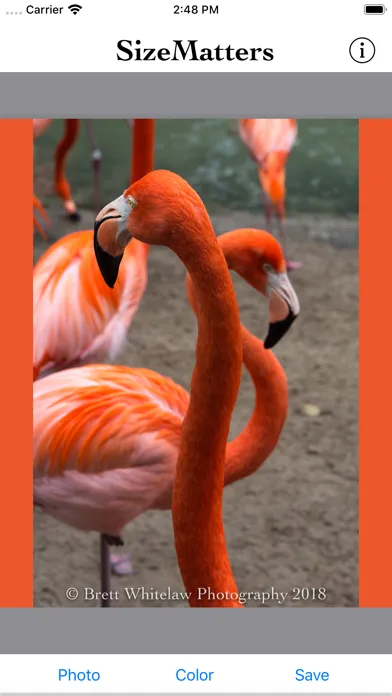 تصاویر SizeMatters - No Crop Resizing