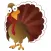 Nord Family Thanksgiving