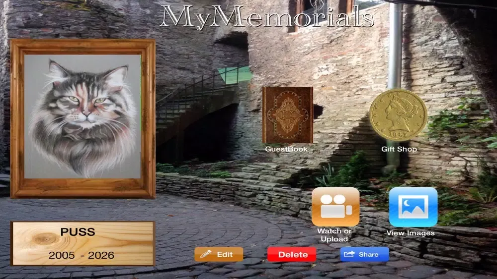 RIPVIRTUAL Screenshots
