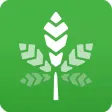 Rate My Weed - The First Ever Marijuana Recognition Software