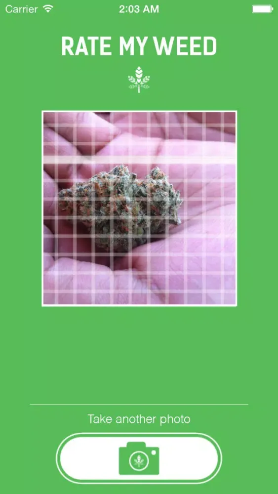Rate My Weed - The First Ever Marijuana Recognition Software應用截圖