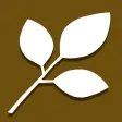 Seed: Everyone Can Plan Seed: Everyone Can Plan