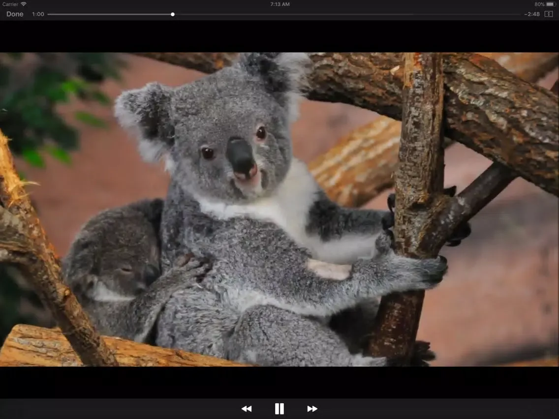 TellyTube iPad  سکرین شاٹس