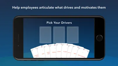 Career Drivers by Bridge স্ক্রিনশট