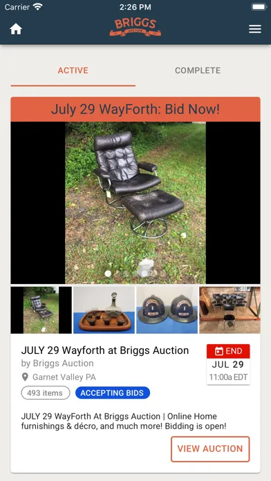 Briggs Auction应用截图