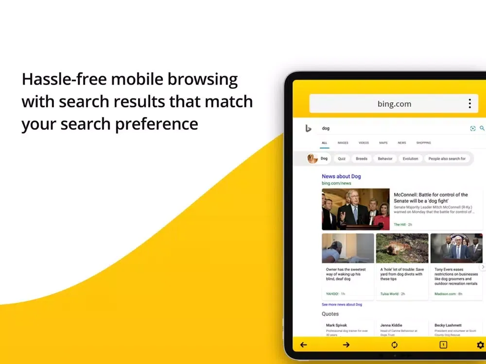 Captures d'écran de Bright Browser Mobile iPad 