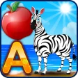 Real Alphabet Book