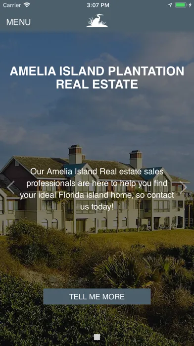 Amelia Island Real Estate スクリーンショット