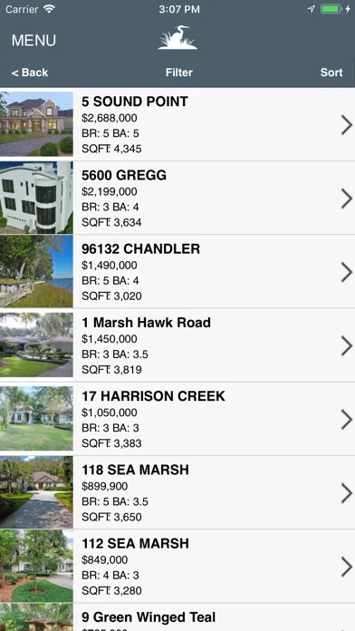Amelia Island Real Estate スクリーンショット