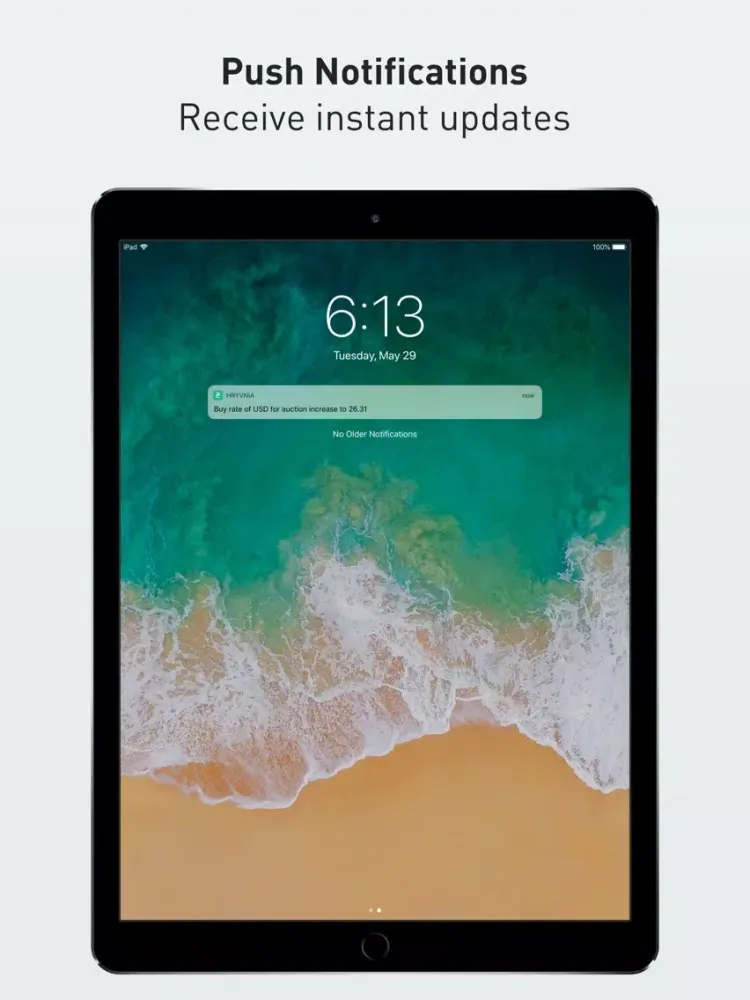 Tangkapan layar Hryvnia iPad 