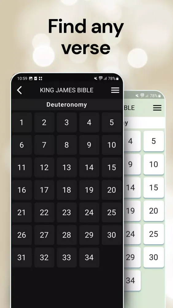King James Bible Screenshots