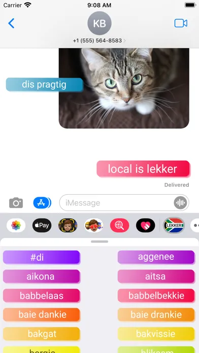 Local is Lekker应用截图
