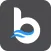 Brizo