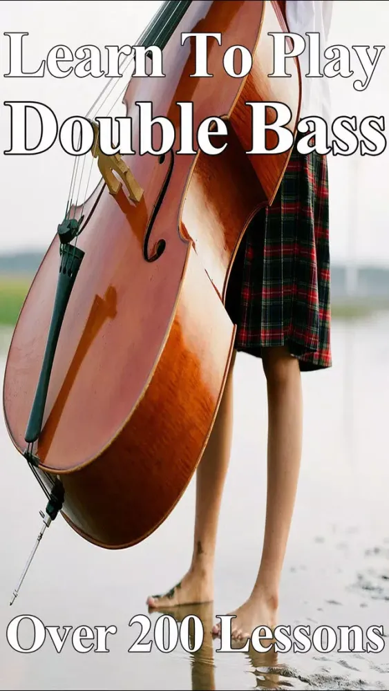 صور Learn To Play Double Bass