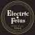 Electric Fetus