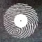fingerprints