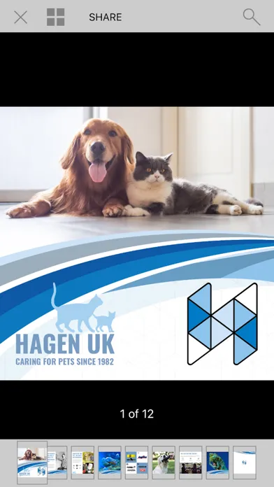 Captures d'écran de Hagen UK Corporate