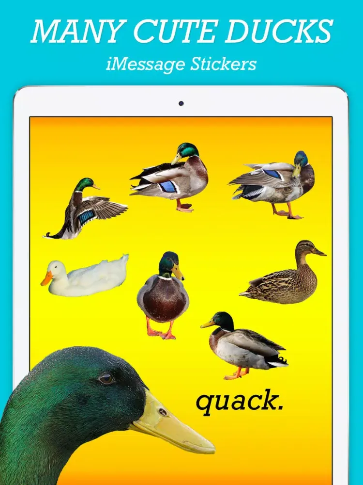 Скриншоты MANY CUTE DUCKS iPad 
