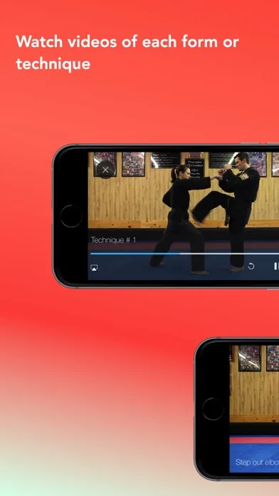 USA Karate Somerset スクリーンショット