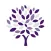 AMS Insurance Brokers