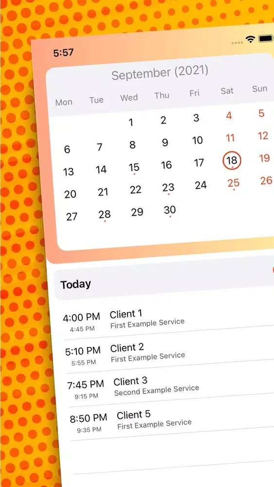 EasyPlan - Clients and Revenue سکرین شاٹس