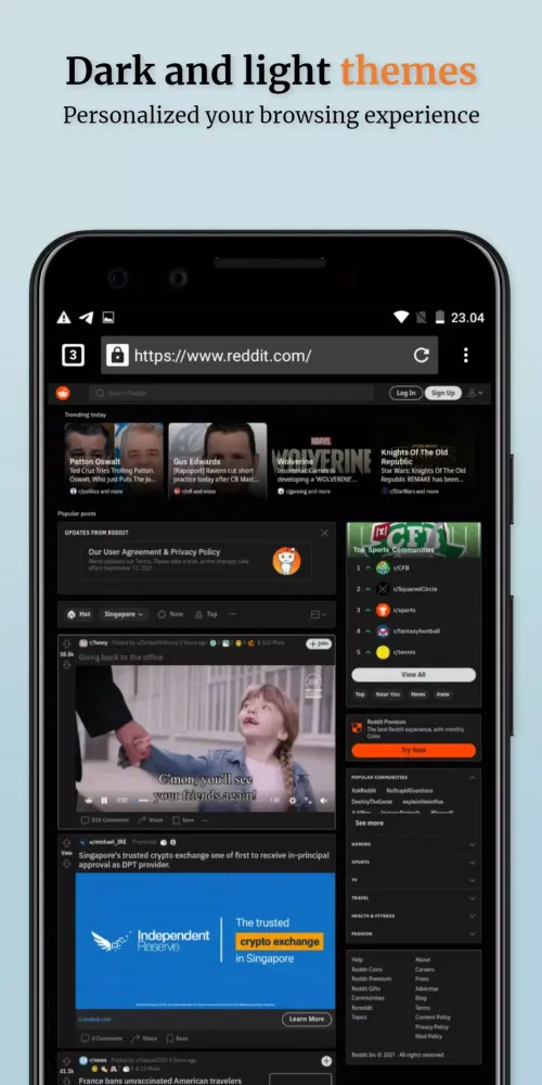 Screenshot di XXNXX Private Proxy Browser