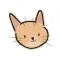 Mischievous Cat