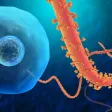 Ebola Tracker Ebola Tracker